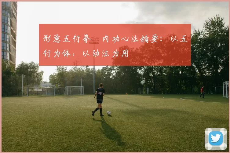 形意五行拳・内功心法精要:以五行为体,以劲法为用