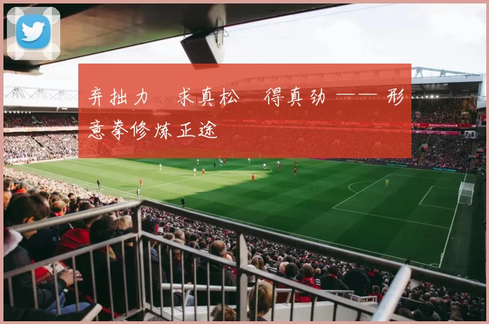 弃拙力・求真松・得真劲 —— 形意拳修炼正途