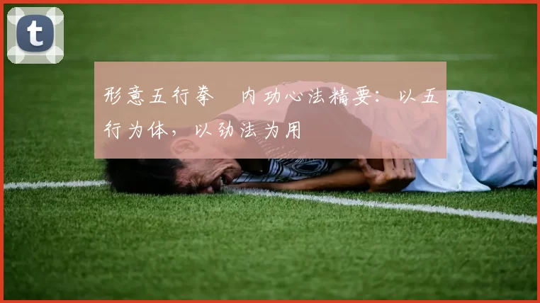 形意五行拳・内功心法精要:以五行为体,以劲法为用