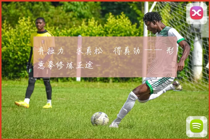 弃拙力・求真松・得真劲 —— 形意拳修炼正途