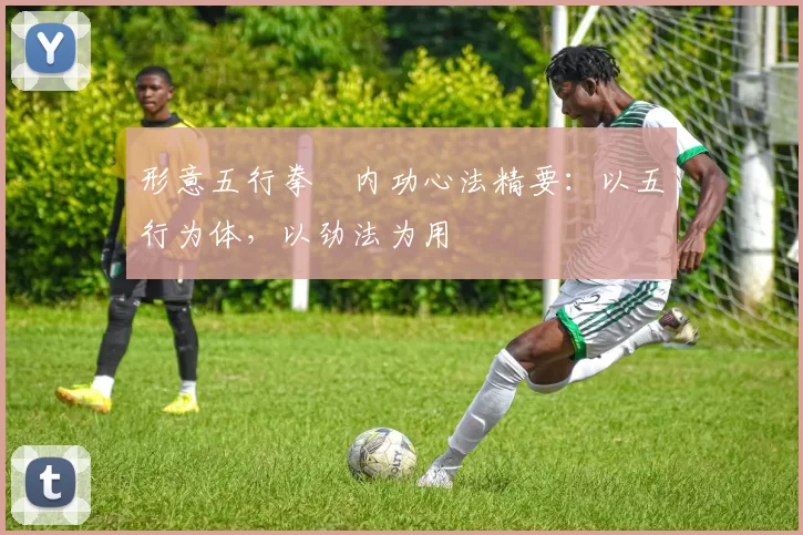 形意五行拳・内功心法精要：以五行为体，以劲法为用