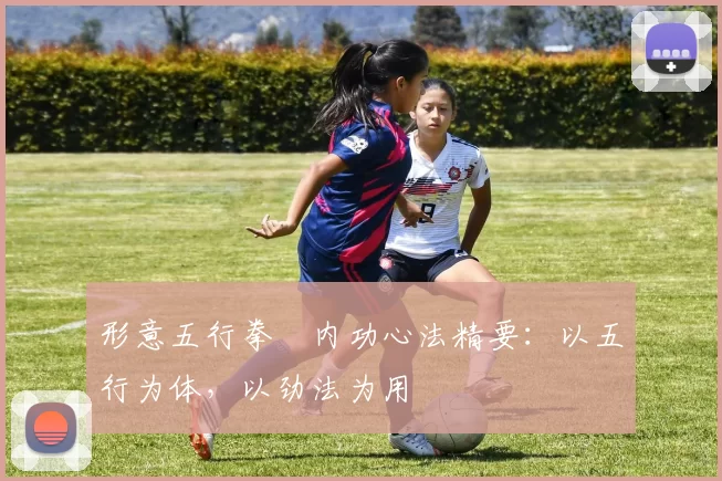 形意五行拳・内功心法精要：以五行为体，以劲法为用