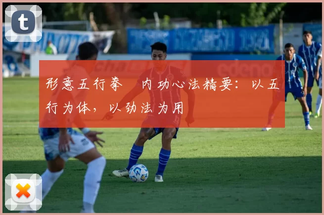 形意五行拳・内功心法精要:以五行为体,以劲法为用