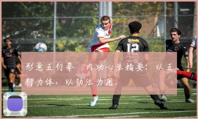 形意五行拳・内功心法精要：以五行为体，以劲法为用