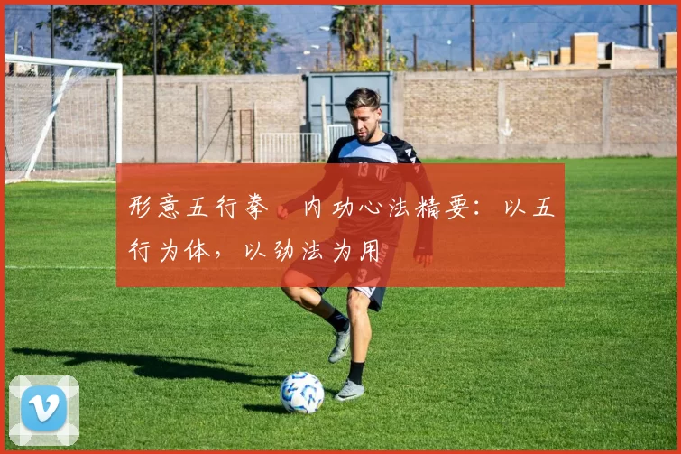 形意五行拳・内功心法精要：以五行为体，以劲法为用