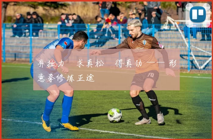 弃拙力・求真松・得真劲 —— 形意拳修炼正途