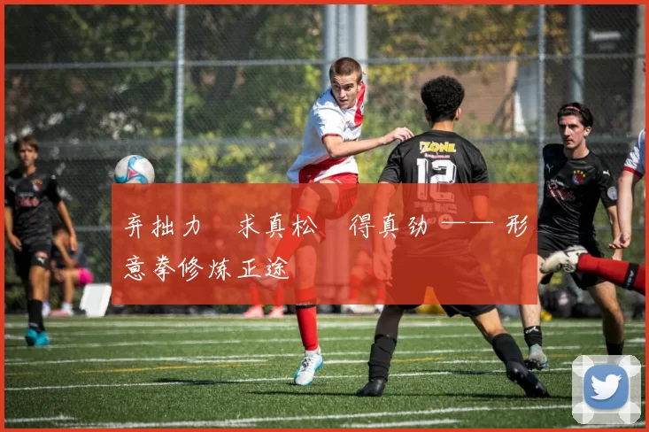 弃拙力・求真松・得真劲 —— 形意拳修炼正途