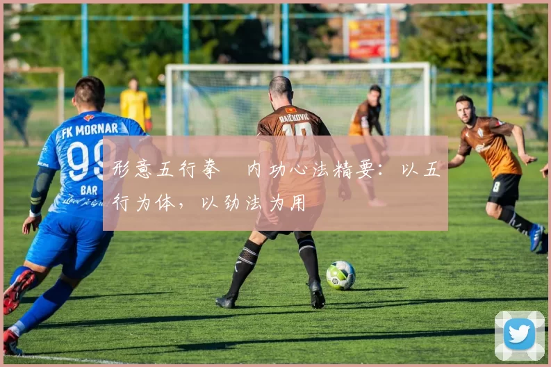 形意五行拳・内功心法精要：以五行为体，以劲法为用