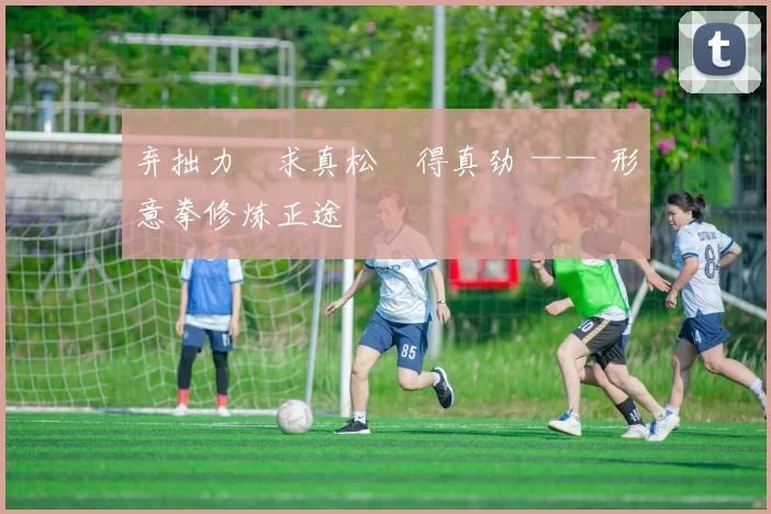 弃拙力・求真松・得真劲 —— 形意拳修炼正途