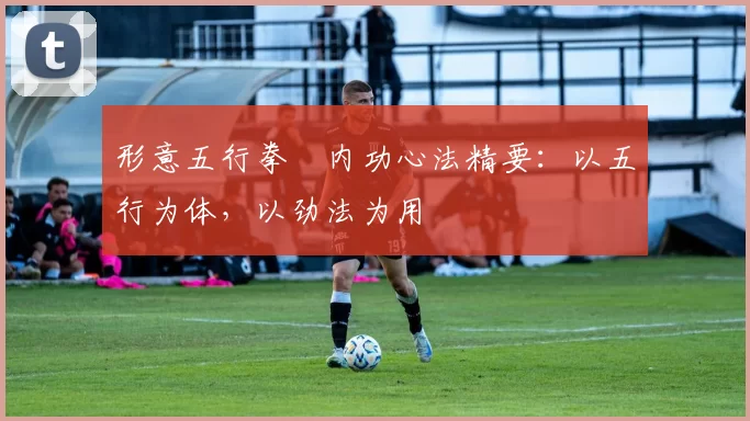 形意五行拳・内功心法精要：以五行为体，以劲法为用