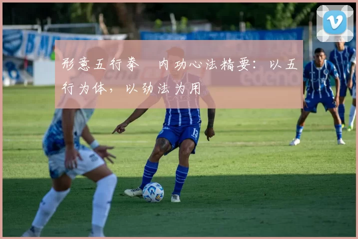 形意五行拳・内功心法精要：以五行为体，以劲法为用