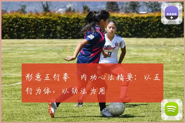 形意五行拳・内功心法精要：以五行为体，以劲法为用