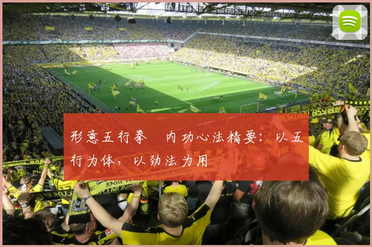 形意五行拳・内功心法精要:以五行为体,以劲法为用