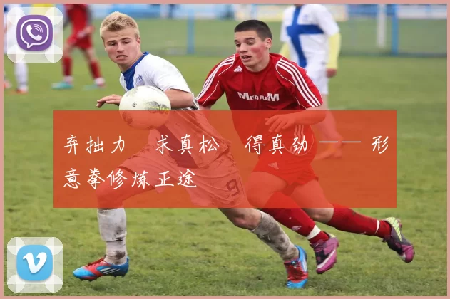 弃拙力・求真松・得真劲 —— 形意拳修炼正途