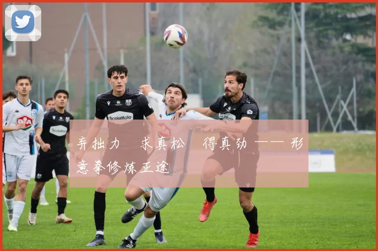 弃拙力・求真松・得真劲 —— 形意拳修炼正途