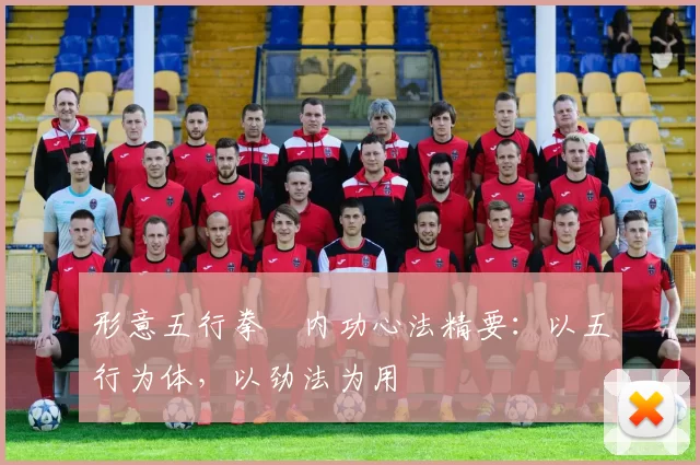 形意五行拳・内功心法精要：以五行为体，以劲法为用