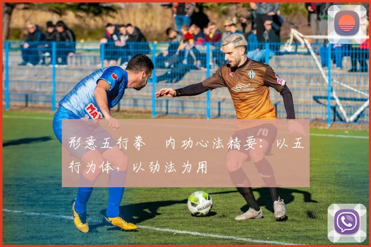 形意五行拳・内功心法精要：以五行为体，以劲法为用