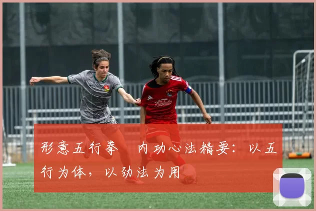 形意五行拳・内功心法精要：以五行为体，以劲法为用