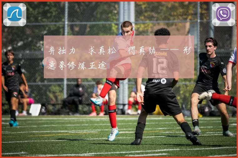 弃拙力・求真松・得真劲 —— 形意拳修炼正途