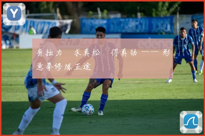 弃拙力・求真松・得真劲 —— 形意拳修炼正途