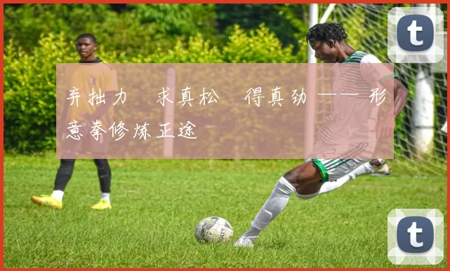 弃拙力・求真松・得真劲 —— 形意拳修炼正途