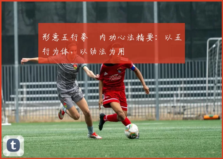 形意五行拳・内功心法精要：以五行为体，以劲法为用