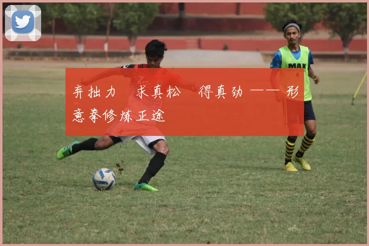 弃拙力・求真松・得真劲 —— 形意拳修炼正途