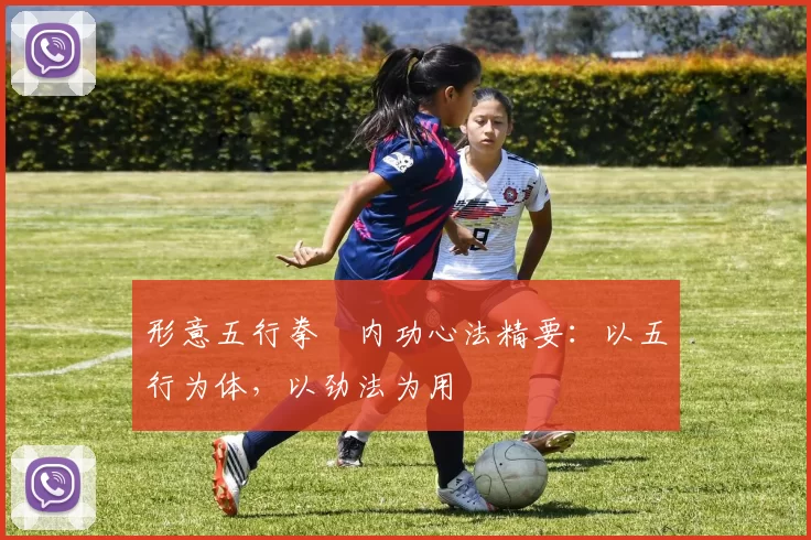 形意五行拳・内功心法精要：以五行为体，以劲法为用