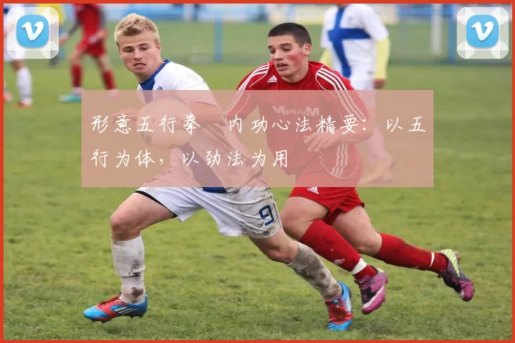 形意五行拳・内功心法精要：以五行为体，以劲法为用