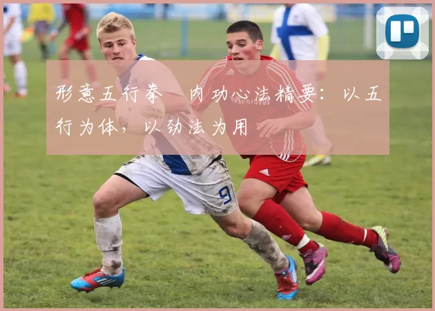 形意五行拳・内功心法精要:以五行为体,以劲法为用