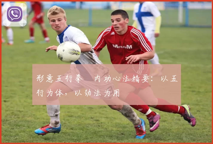形意五行拳・内功心法精要:以五行为体,以劲法为用