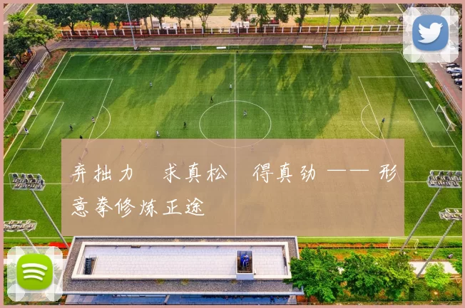 弃拙力・求真松・得真劲 —— 形意拳修炼正途