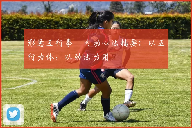 形意五行拳・内功心法精要：以五行为体，以劲法为用