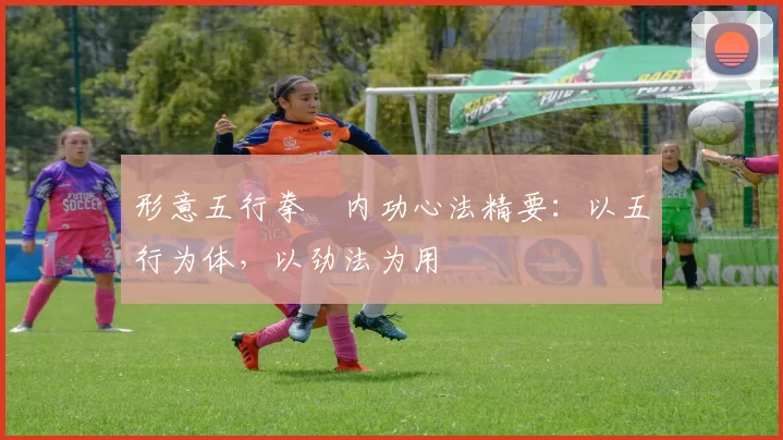 形意五行拳・内功心法精要：以五行为体，以劲法为用