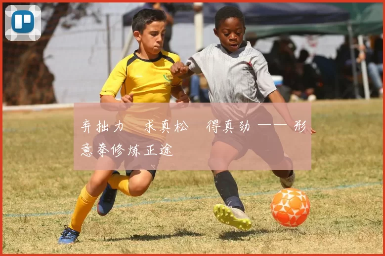 弃拙力・求真松・得真劲 —— 形意拳修炼正途