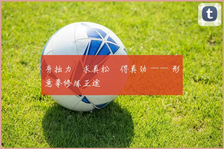 弃拙力・求真松・得真劲 —— 形意拳修炼正途