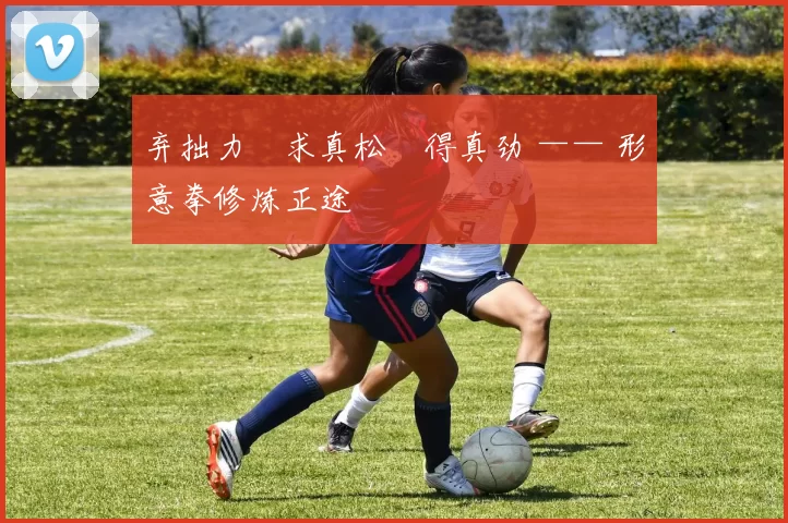 弃拙力・求真松・得真劲 —— 形意拳修炼正途