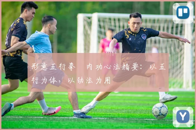 形意五行拳・内功心法精要：以五行为体，以劲法为用