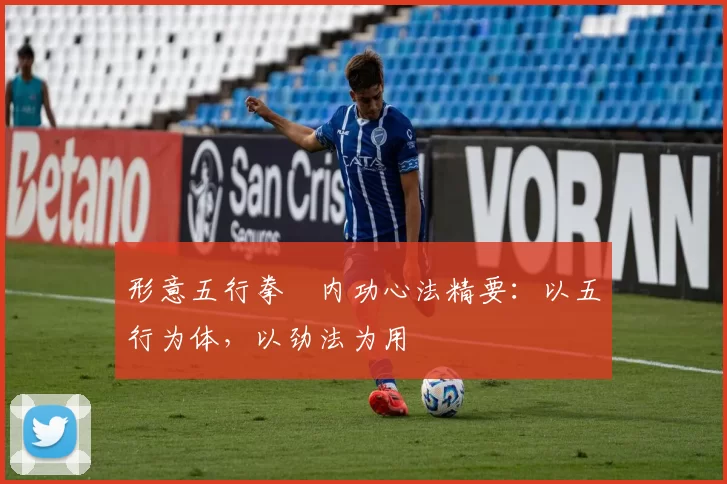 形意五行拳・内功心法精要:以五行为体,以劲法为用