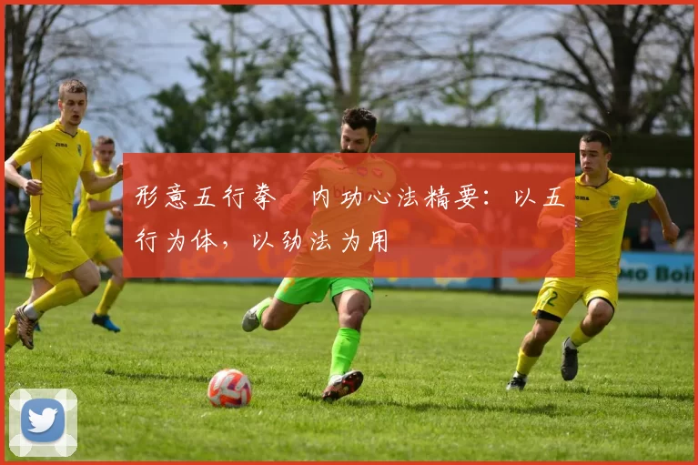 形意五行拳・内功心法精要:以五行为体,以劲法为用