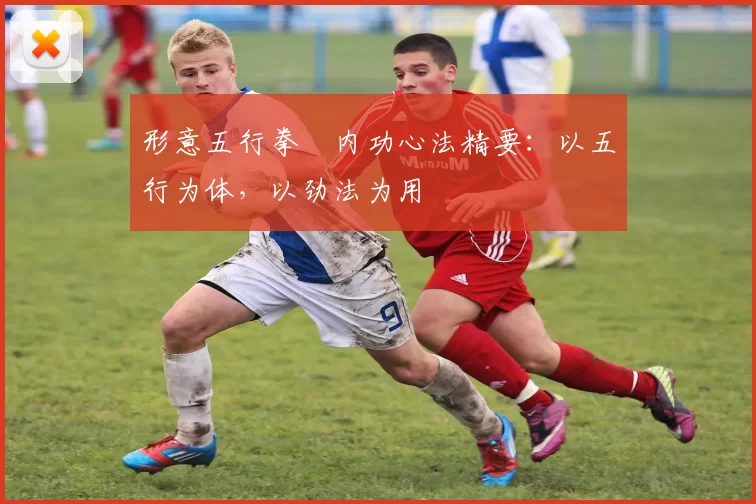 形意五行拳・内功心法精要:以五行为体,以劲法为用