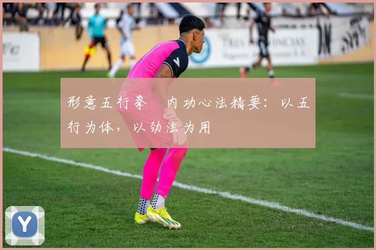 形意五行拳・内功心法精要：以五行为体，以劲法为用