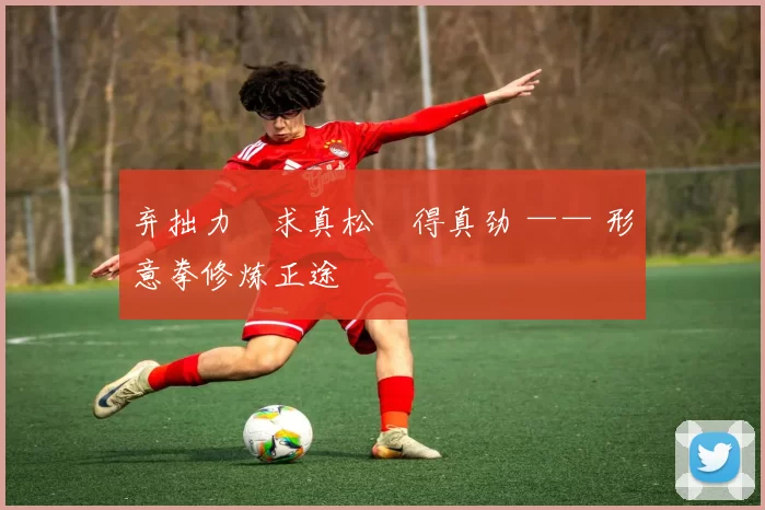 弃拙力・求真松・得真劲 —— 形意拳修炼正途