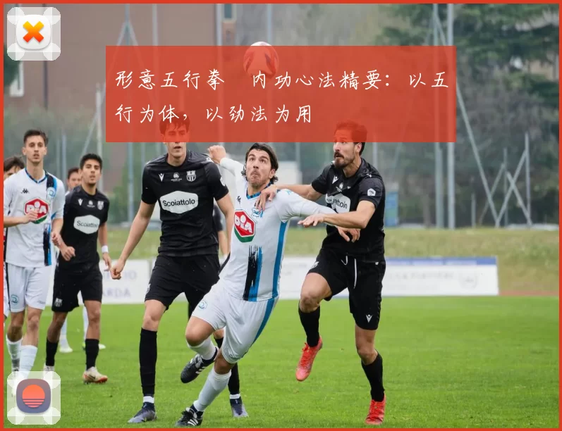 形意五行拳・内功心法精要：以五行为体，以劲法为用