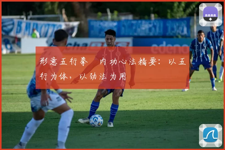 形意五行拳・内功心法精要:以五行为体,以劲法为用