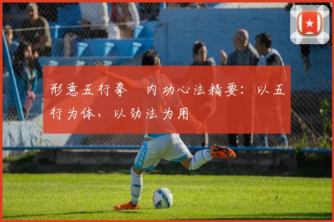 形意五行拳・内功心法精要：以五行为体，以劲法为用