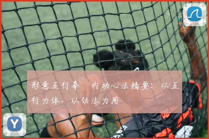 形意五行拳・内功心法精要：以五行为体，以劲法为用