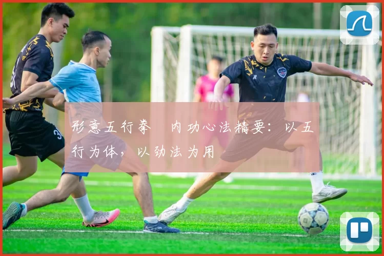 形意五行拳・内功心法精要：以五行为体，以劲法为用