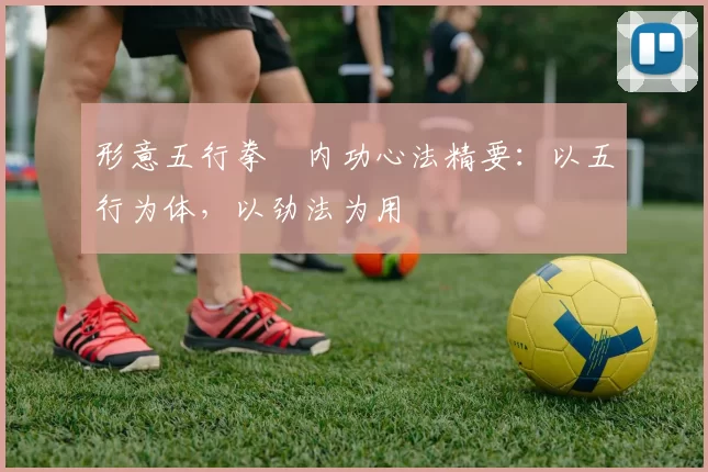 形意五行拳・内功心法精要：以五行为体，以劲法为用