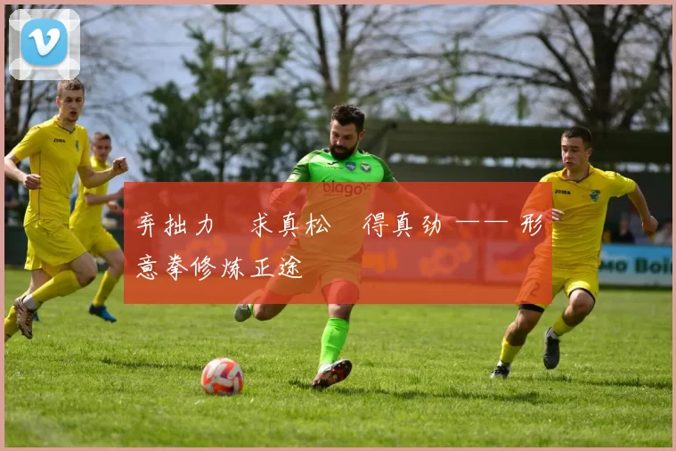 弃拙力・求真松・得真劲 —— 形意拳修炼正途